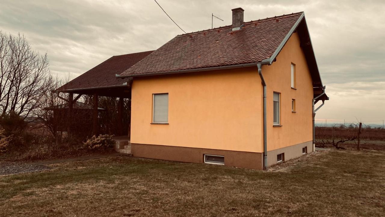 Villa Kuca Za Odmor Brzica Erdut Exterior foto