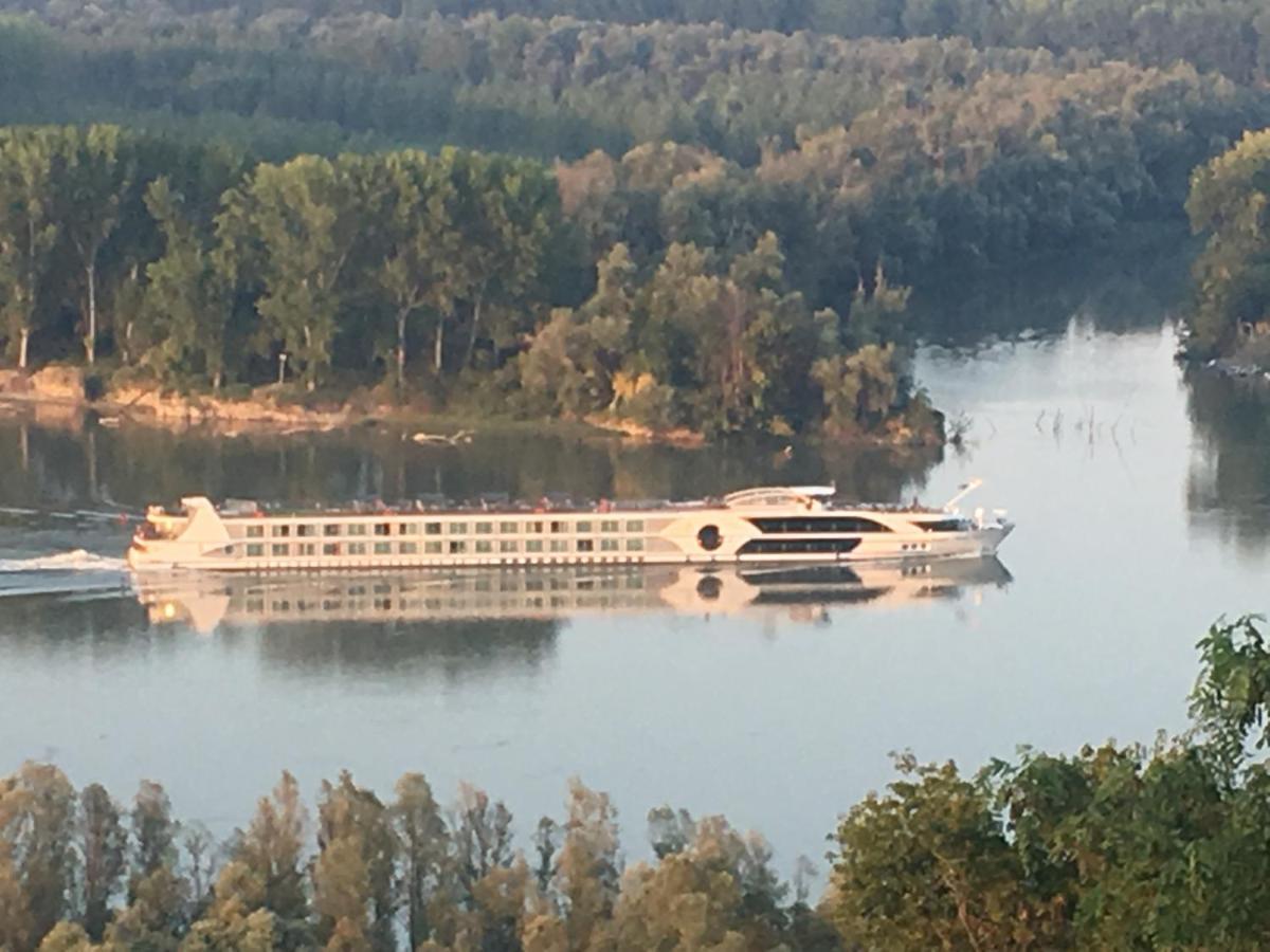 Villa Kuca Za Odmor Brzica Erdut Exterior foto