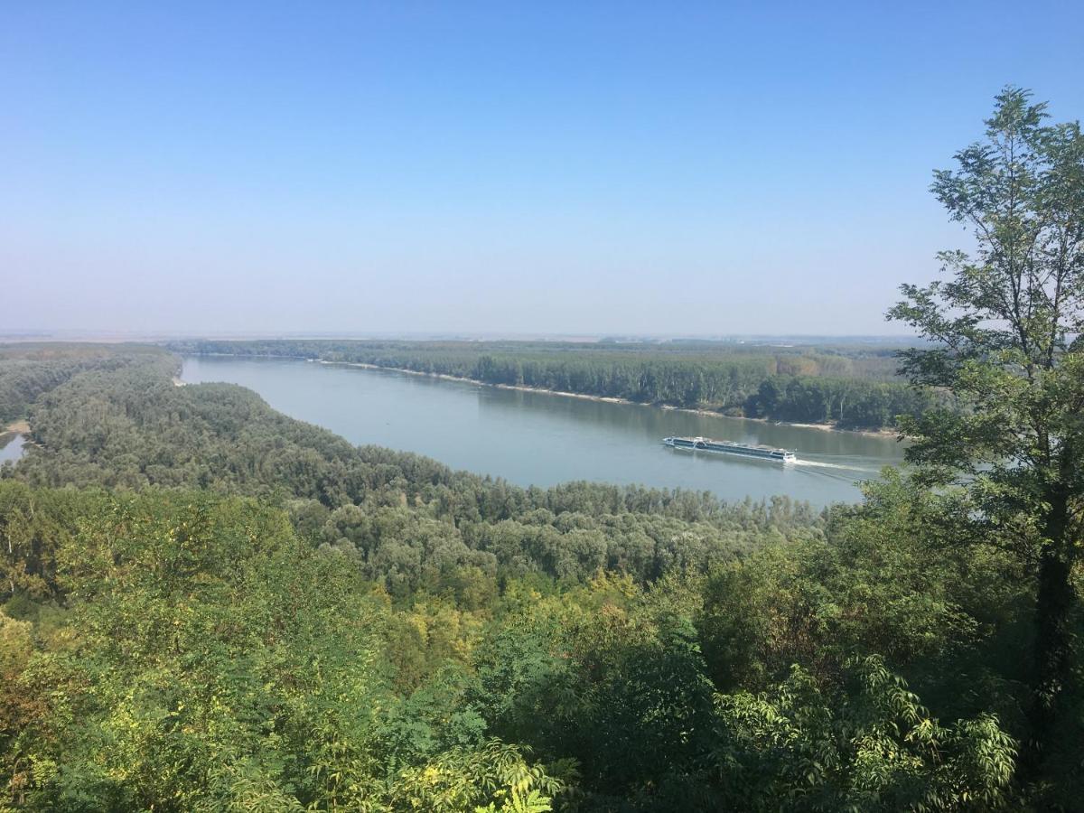 Villa Kuca Za Odmor Brzica Erdut Exterior foto